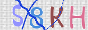 この文字を入力してください
