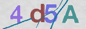 この文字を入力してください