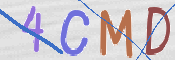 この文字を入力してください