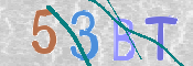この文字を入力してください
