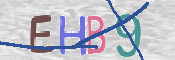 この文字を入力してください