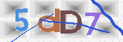 この文字を入力してください