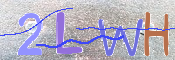 この文字を入力してください