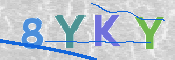 この文字を入力してください