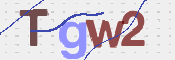 この文字を入力してください