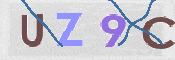 この文字を入力してください