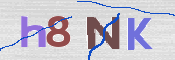 この文字を入力してください