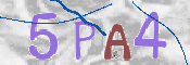 この文字を入力してください