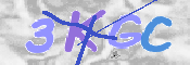 この文字を入力してください