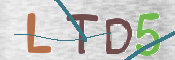 この文字を入力してください