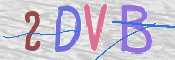 この文字を入力してください