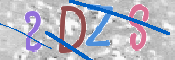 この文字を入力してください
