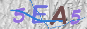 この文字を入力してください