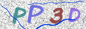 この文字を入力してください