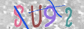 この文字を入力してください