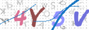 この文字を入力してください