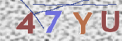 この文字を入力してください