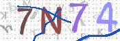 この文字を入力してください