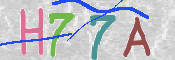 この文字を入力してください
