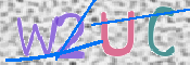 この文字を入力してください