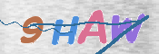 この文字を入力してください