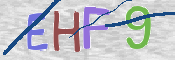 この文字を入力してください