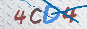 この文字を入力してください