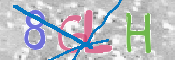 この文字を入力してください
