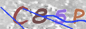 この文字を入力してください
