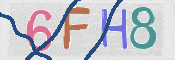 この文字を入力してください