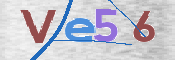 この文字を入力してください