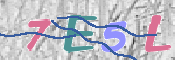 この文字を入力してください