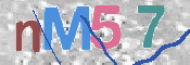 この文字を入力してください