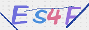 この文字を入力してください