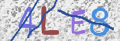 この文字を入力してください