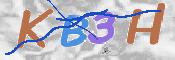 この文字を入力してください