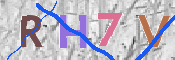 この文字を入力してください