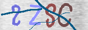 この文字を入力してください