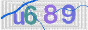 この文字を入力してください