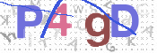 この文字を入力してください