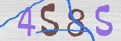 この文字を入力してください