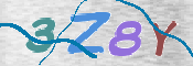 この文字を入力してください