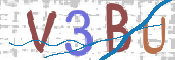 この文字を入力してください