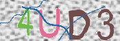 この文字を入力してください