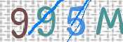 この文字を入力してください