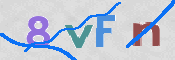 この文字を入力してください