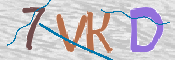 この文字を入力してください