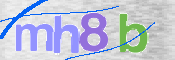 この文字を入力してください