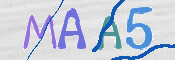 この文字を入力してください