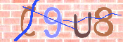 この文字を入力してください